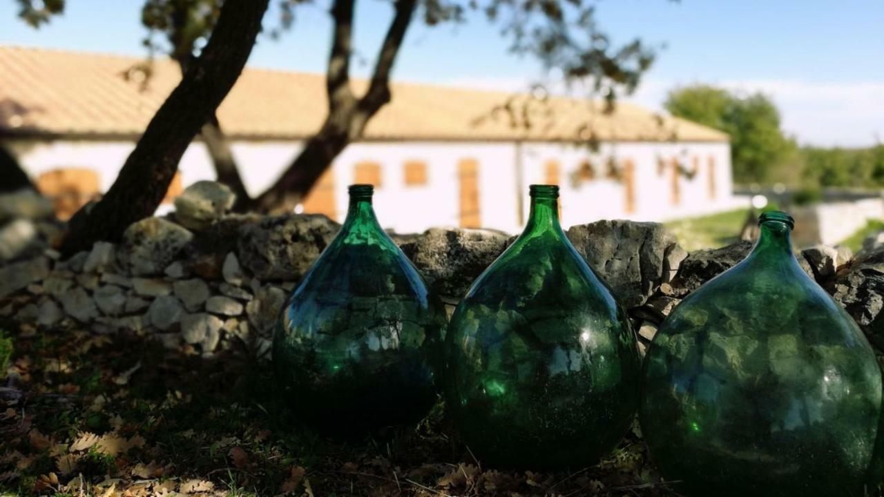 Tenuta Tedone Consolini Villa Ruvo di Puglia Ngoại thất bức ảnh