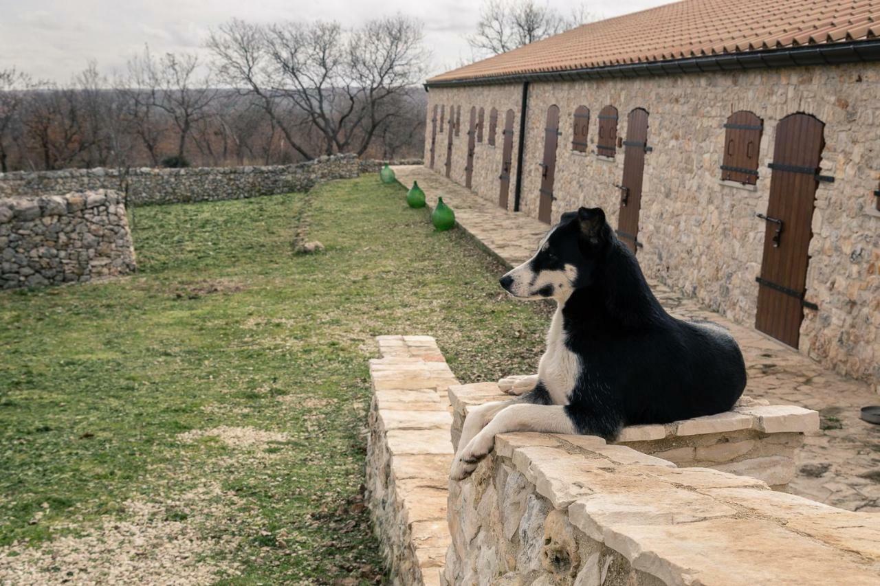 Tenuta Tedone Consolini Villa Ruvo di Puglia Ngoại thất bức ảnh